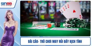 Bài Cào