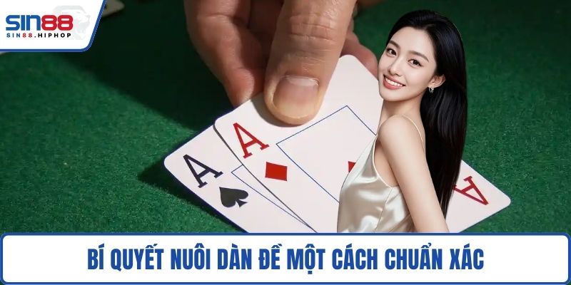 Tìm hiểu khái niệm dàn đề miền Nam là gì