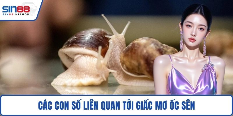 Các con số liên quan tới giấc mơ ốc sên