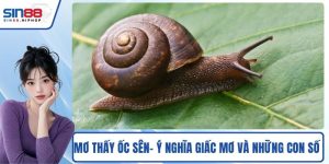 Mơ Thấy Ốc Sên