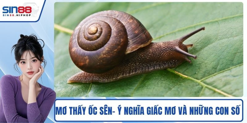 Mơ Thấy Ốc Sên
