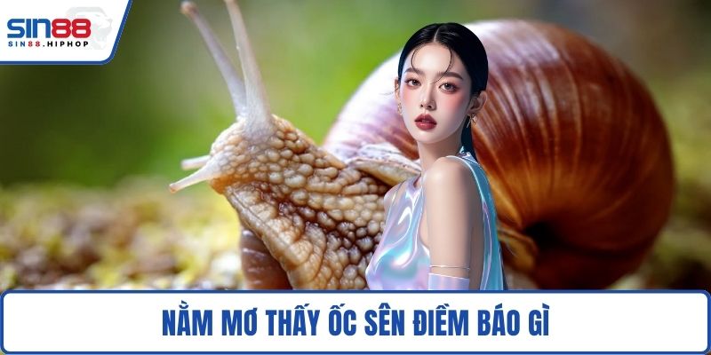 Nằm mơ thấy ốc sên điềm báo gì
